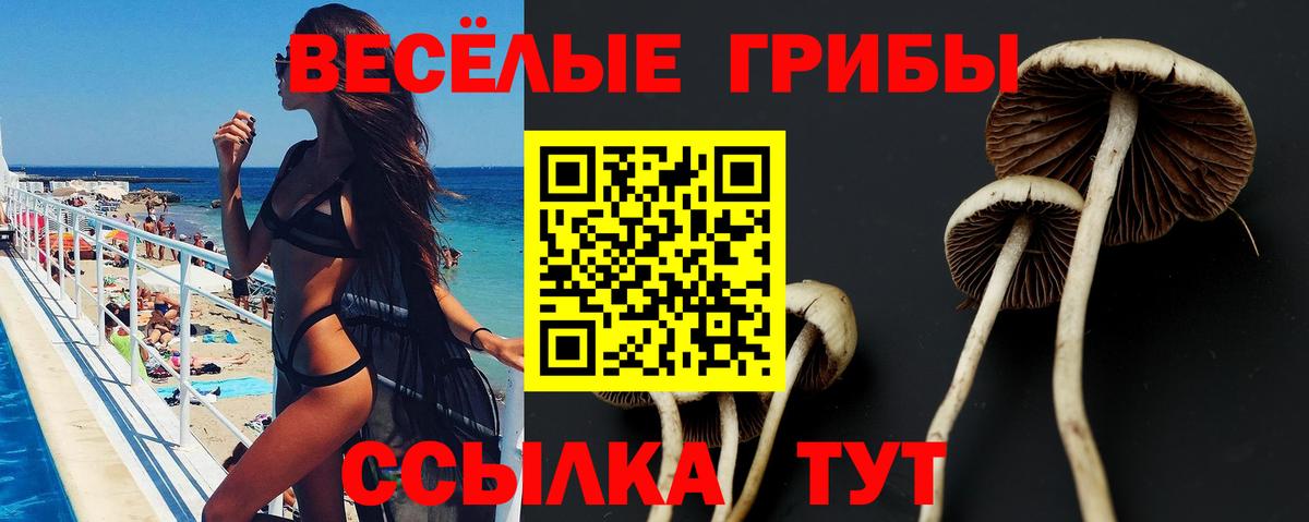 Галлюциногенные грибы Psilocybe Комсомольск-на-Амуре