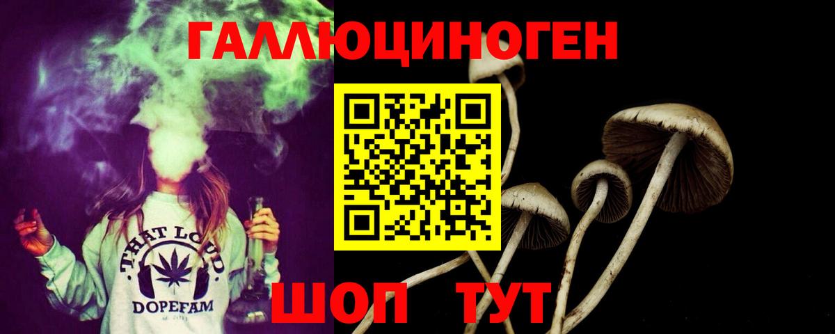 Комсомольск-на-Амуре  Галлюциногенные грибы прущие грибы  Вход с VPN 